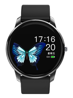 B8 Lady Watch